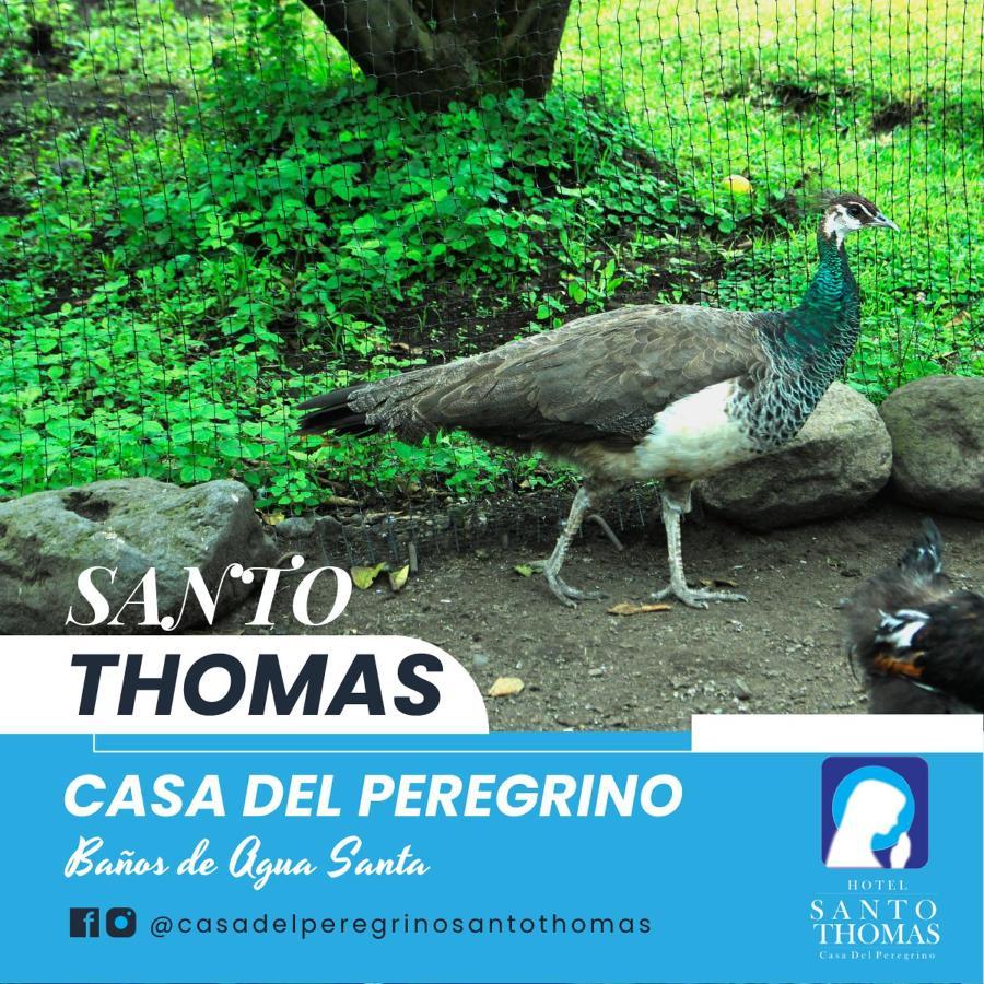 Casa Del Peregrino Santo Thomas Hotell Baños Exteriör bild